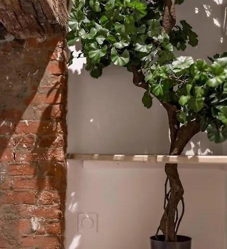 Le Saint-georges * Lione